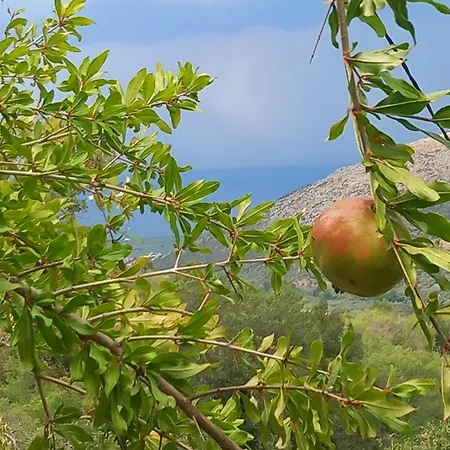 Mare Monte Kazaviti *